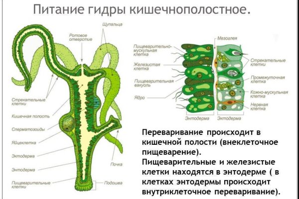 Ссылка на сайт кракен в тор браузере