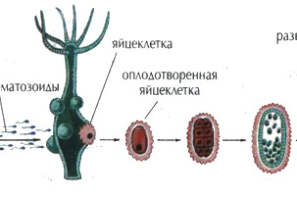 Зайти в кракен