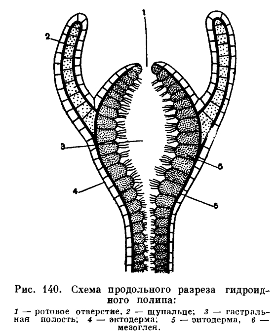 Кракен ссылка замена